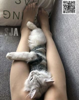韩国理伦电影在线播放_国产剧在线观看