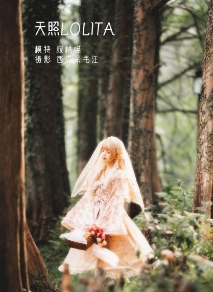 538在线一区二区精品国产_BD韩语免费在线观看